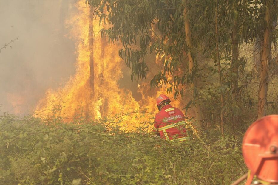 29-07-2016_16_04_18 incendio joao dinis.jpg