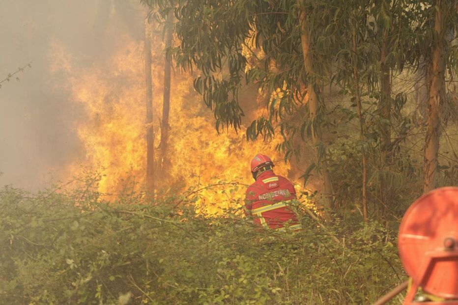 IPMA, incêndios, alerta