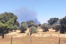 03-08-2016_16_30_28 incendionisa.jpg