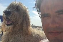 12-08-2016_17_41_58 rufus.jpg