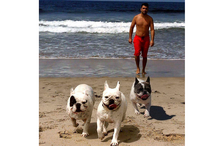 leitores, CM, fotografias, animais, Eu Repórter CM, férias