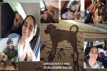 leitores, CM, fotografias, animais, Eu Repórter CM, férias