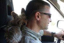 leitores, CM, fotografias, animais, Eu Repórter CM, férias