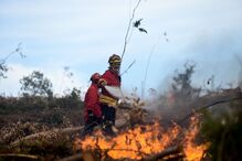 Portugal, incêndios, fogos, bombeiros