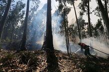 Portugal, incêndios, fogos, bombeiros