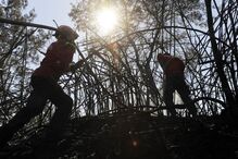 Polícia Judiciária, Mangualde, GNR, PJ, Guarda, PSP, Pinhel, acidentes e desastres, incêndios