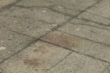 17-08-2016_13_23_37 00E0661E.jpg