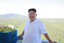 Kim Jong-un, Coreia do Norte