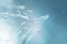 recordes, sexo, sexuais, Guiness Book