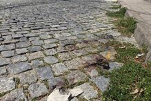 Baguim do Monte, Gondomar, Soqueira, Crime, Morte