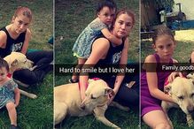 Hannah, cadela, animal, morte, doente, EUA