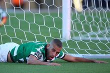 Sporting, João Mário, Slimani, Alvalade, Leicester, Adrien Silva, Bruno de Carvalho