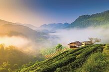 Triângulo Dourado, triângulo, viagem, destinos