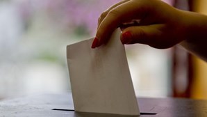 Sorteado boletim de voto das 14 candidaturas às eleições legislativas antecipadas da Madeira