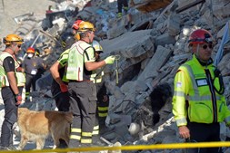 Trabalhadores da equipa de resgate inspecionam a zona dos destroços com a ajuda de cães