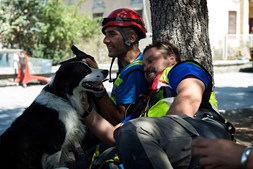 Trabalhadores da equipa de resgate e o seu cão
