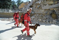 Trabalhadores das equipas de resgate: um homem e o seu cão