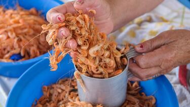 Portugueses escolhem o marisco como parte da refeição no último dia do ano 