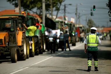 marcha lenta, tratores, carne, leite