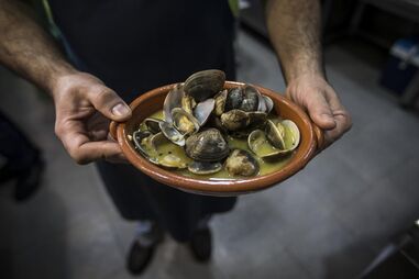 Samouco, Alcochete, Seixal, Sítio das Hortas, Câmara de Alcochete, Tejo, Polícia Marítima, Guarda Nacional Republicana, ambiente