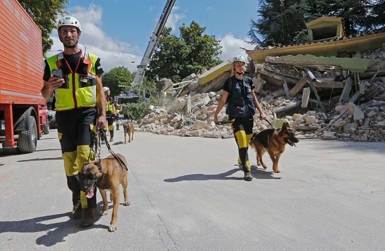 Equipas de resgate levam os cães para as zonas com escombros