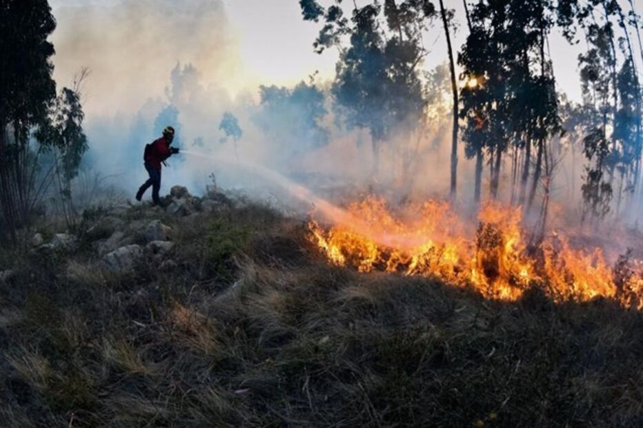 Polícia Judiciária, Pombal, PJ, acidentes e desastres, incêndios