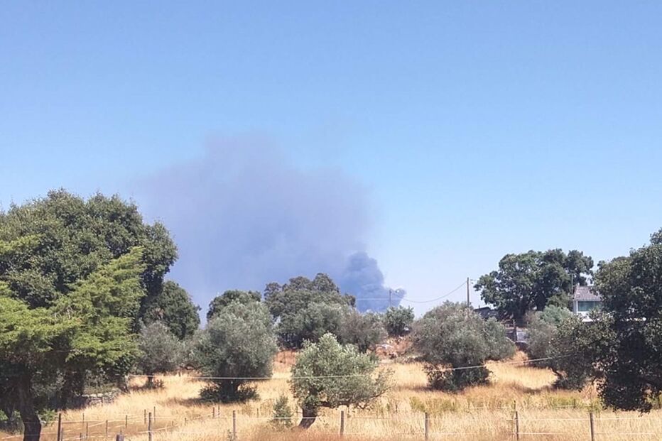 03-08-2016_16_30_28 incendionisa.jpg