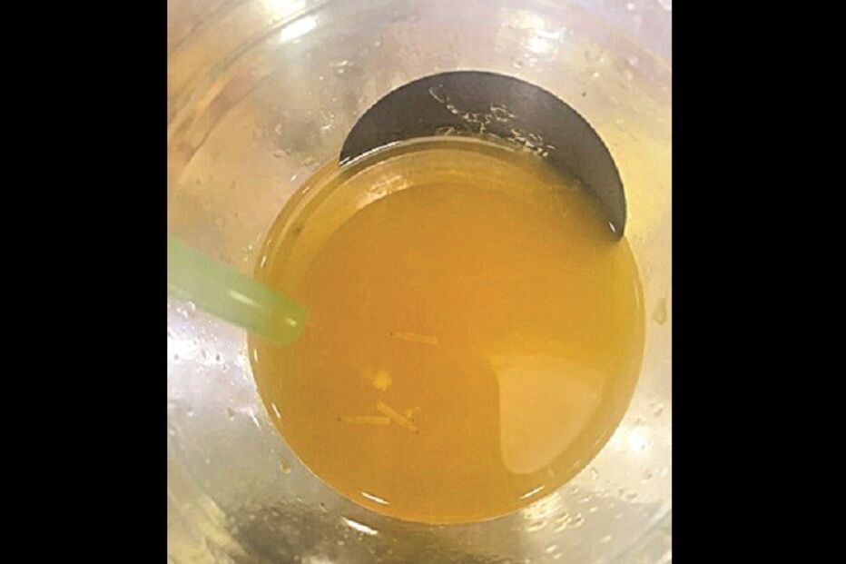 Vânia Simões, Carolina Carvalho, Padaria Portuguesa, Centro Comercial Colombo, Livro de Reclamações