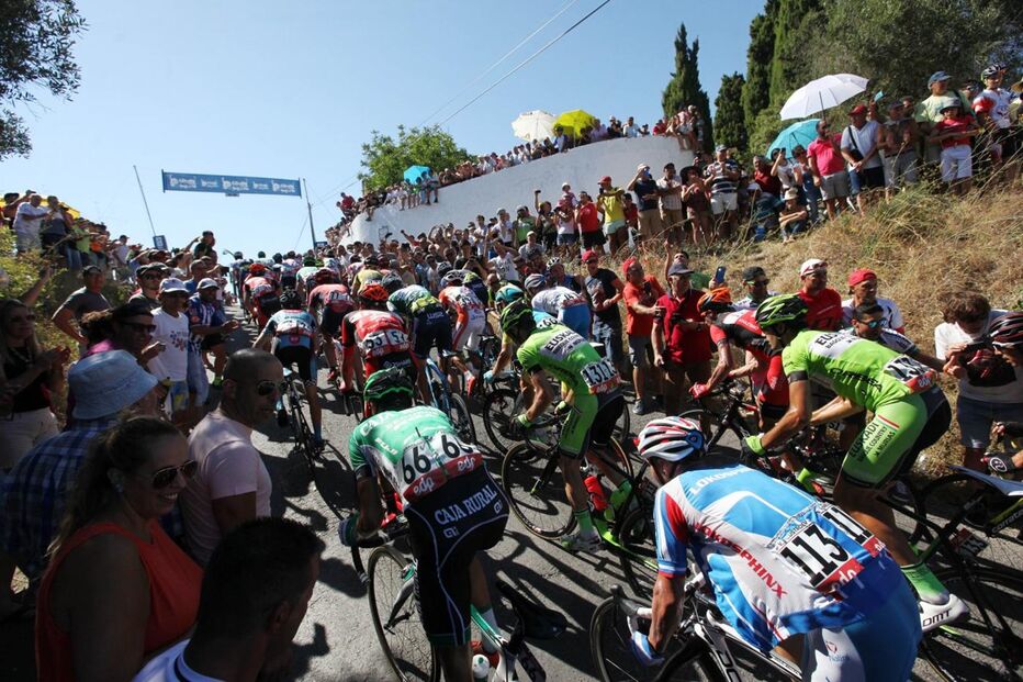 Volta a Portugal, Ciclismo, Desporto, Modalidades, Pelotão