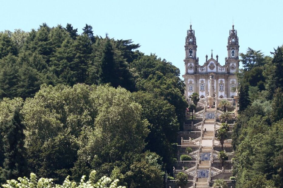 Volta a Portugal, Ciclismo, Desporto, Modalidades, Pelotão