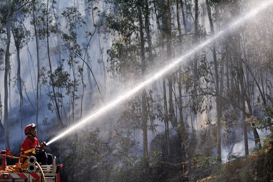 Polícia Judiciária, Departamento de Investigação Criminal de Braga, GNR, PJ, Braga, acidentes e desastres, incêndios