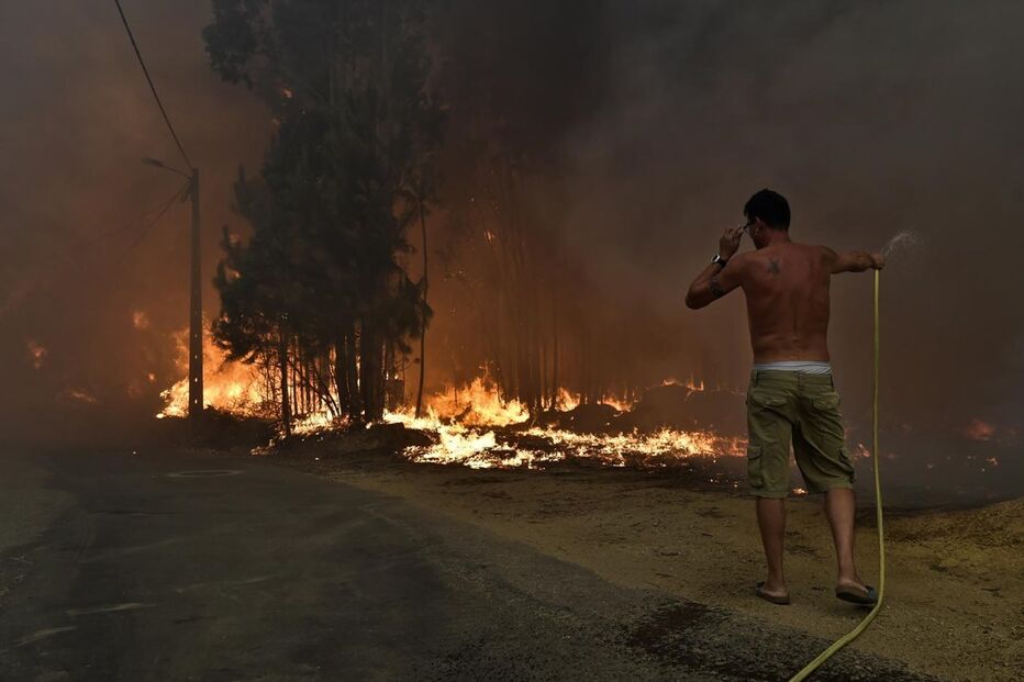 Viana do Castelo, Porto, Autoridade Nacional de Proteção Civil, incêndios, Águeda