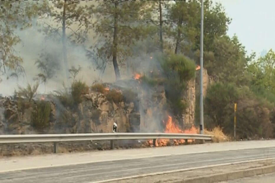 Itinerário Principal, Aveiro, Vilar Formoso, Viseu, Couto de Baixo, Comandante dos Bombeiros Voluntários, Luís Duarte, Couto de Cima, incêndios