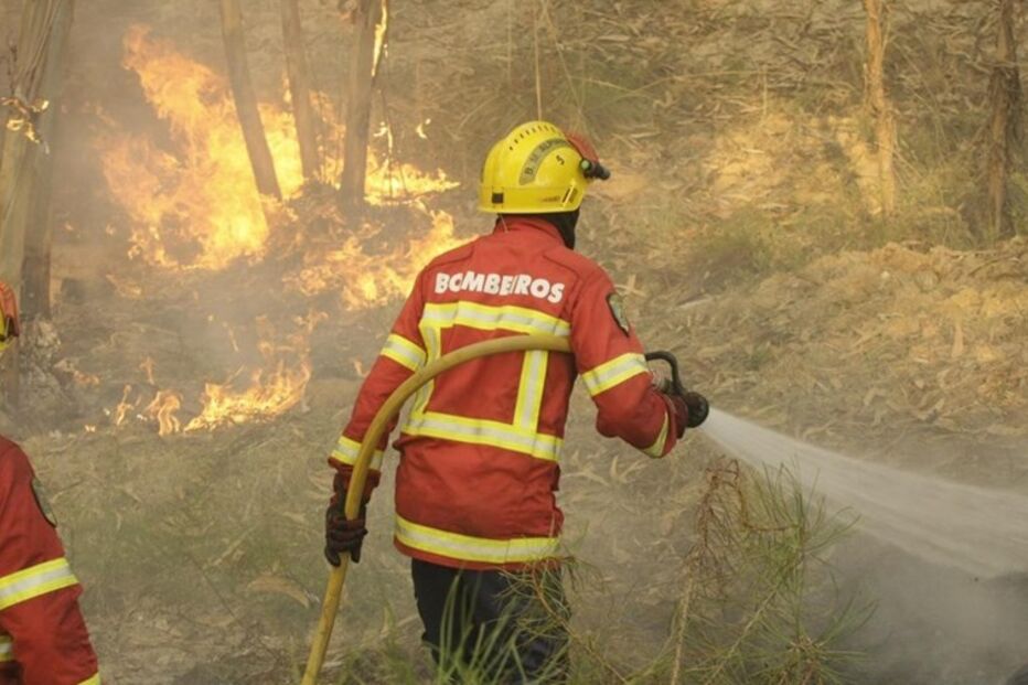 Governo, Espanha, Viana do Castelo, economia, negócios e finanças, incêndio