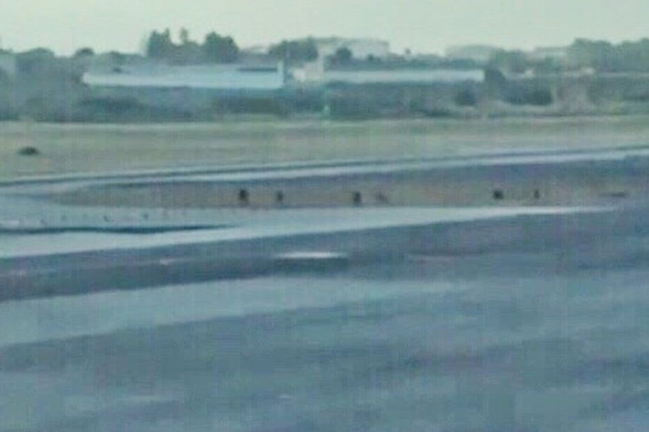 12-08-2016_03_18_02 12354544.jpg