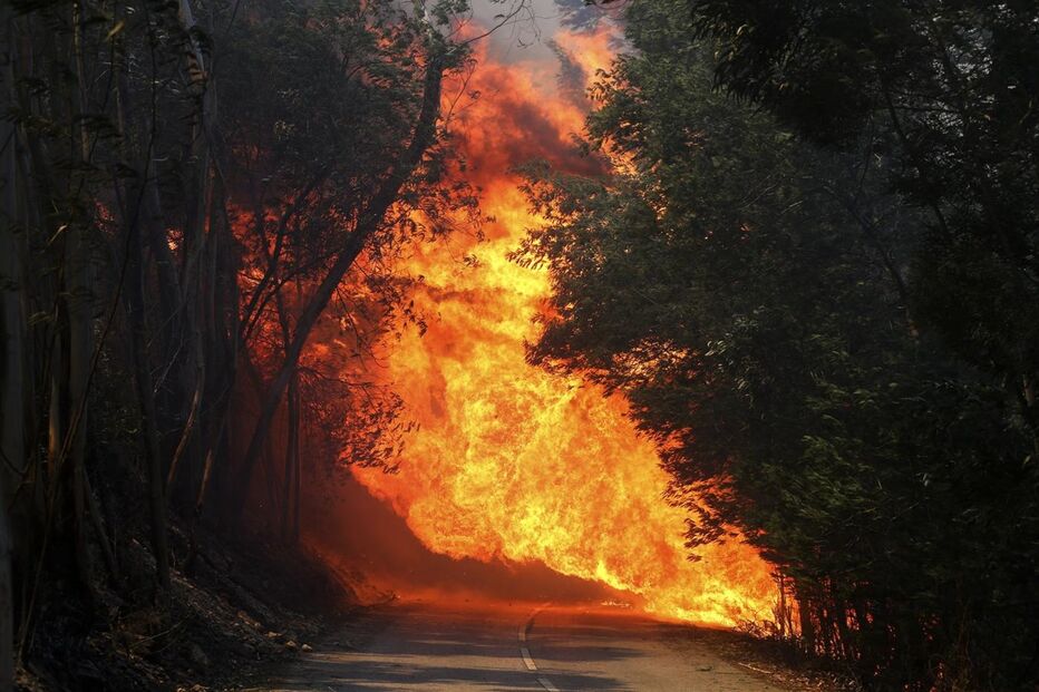 Portugal, Proteção Civil, Autoridade Nacional de Proteção Civil, Águeda, Arouca, Anadia, Aveiro, incêndios