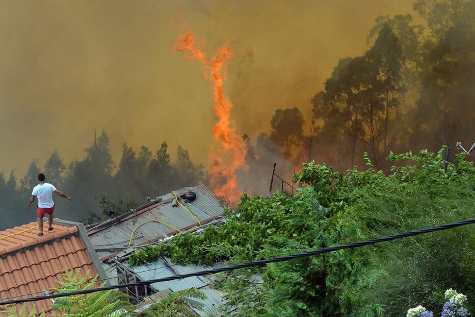 12-08-2016_12_49_47 12428797.JPG