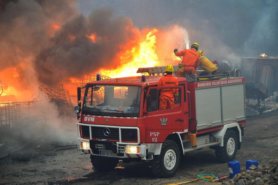 12-08-2016_12_49_49 12428809.JPG