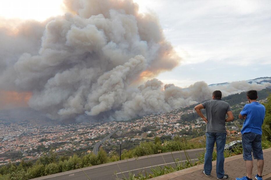 12-08-2016_12_49_50 12428817.JPG