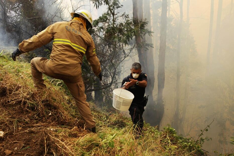 12-08-2016_12_50_00 reuters.jpg