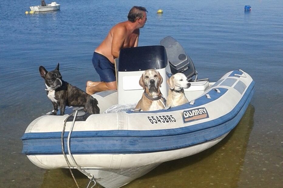 leitores, CM, fotografias, animais, Eu Repórter CM, férias