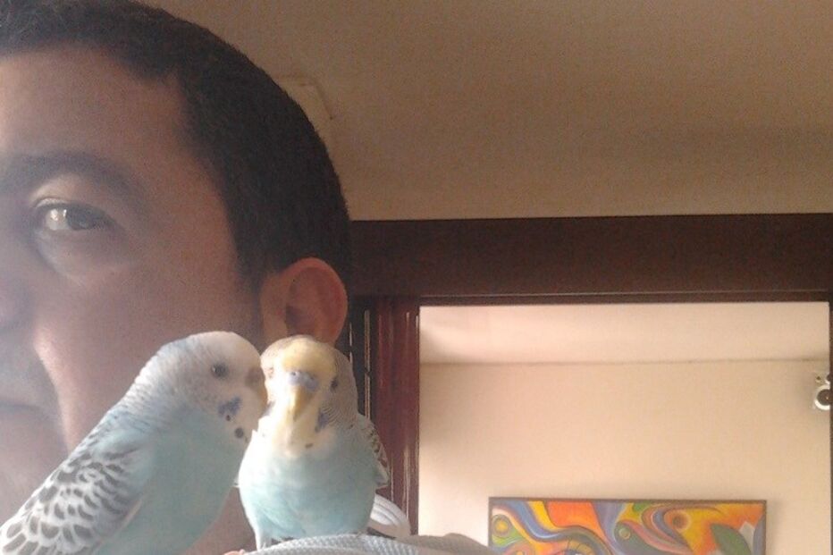 leitores, CM, fotografias, animais, Eu Repórter CM, férias