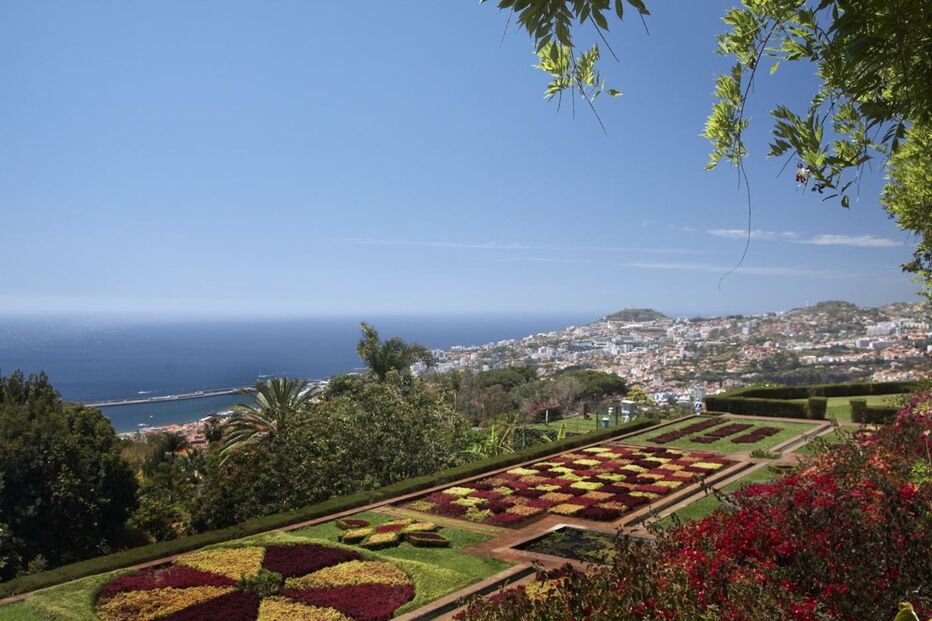 13-08-2016_17_01_55 madeira.jpg