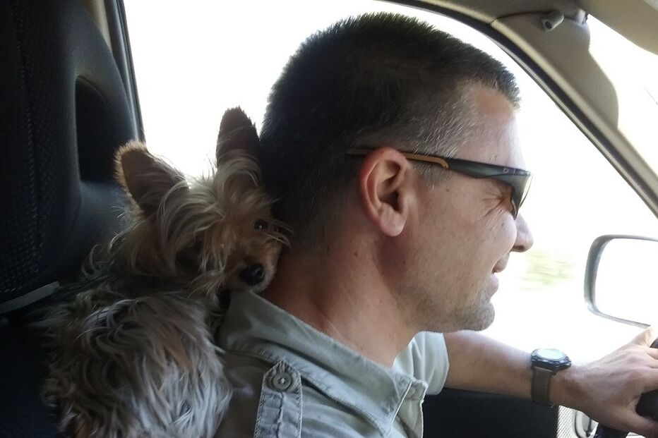 leitores, CM, fotografias, animais, Eu Repórter CM, férias