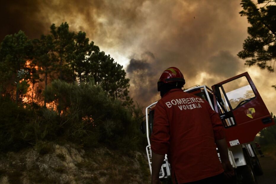 14-08-2016_01_09_06 M2-12456898.JPG