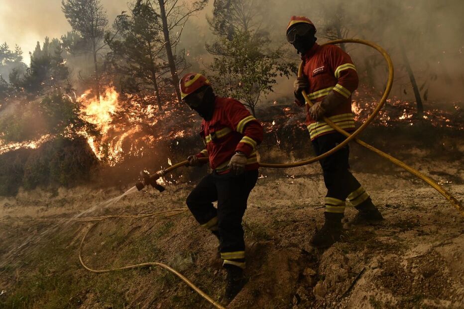 14-08-2016_01_09_12 M2-12457047.JPG