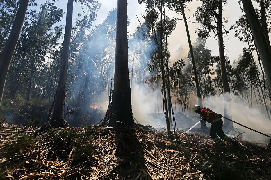 Portugal, incêndios, fogos, bombeiros