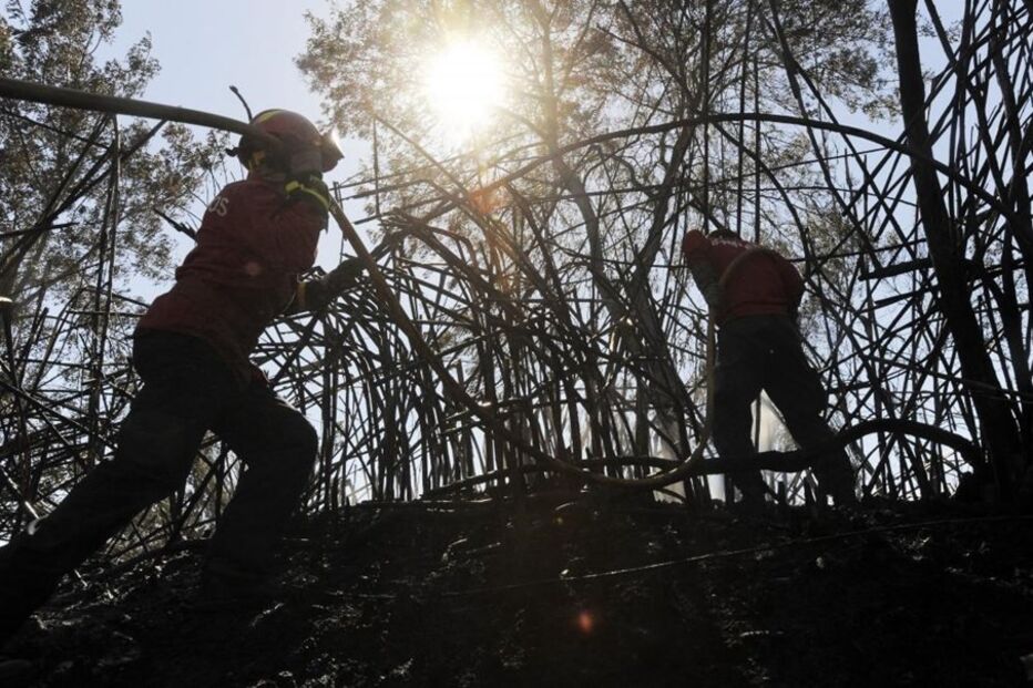 Polícia Judiciária, Mangualde, GNR, PJ, Guarda, PSP, Pinhel, acidentes e desastres, incêndios