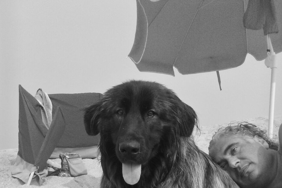 leitores, CM, fotografias, animais, Eu Repórter CM, férias