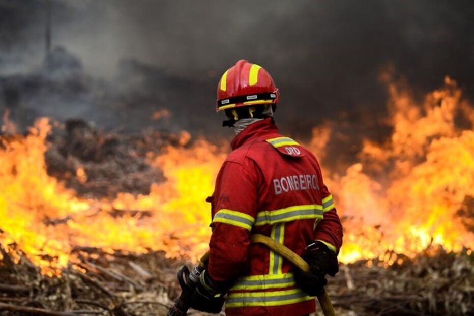 Polícia Judiciária, Oliveira de Azeméis, Corporação de Bombeiros, PJ, incêndios